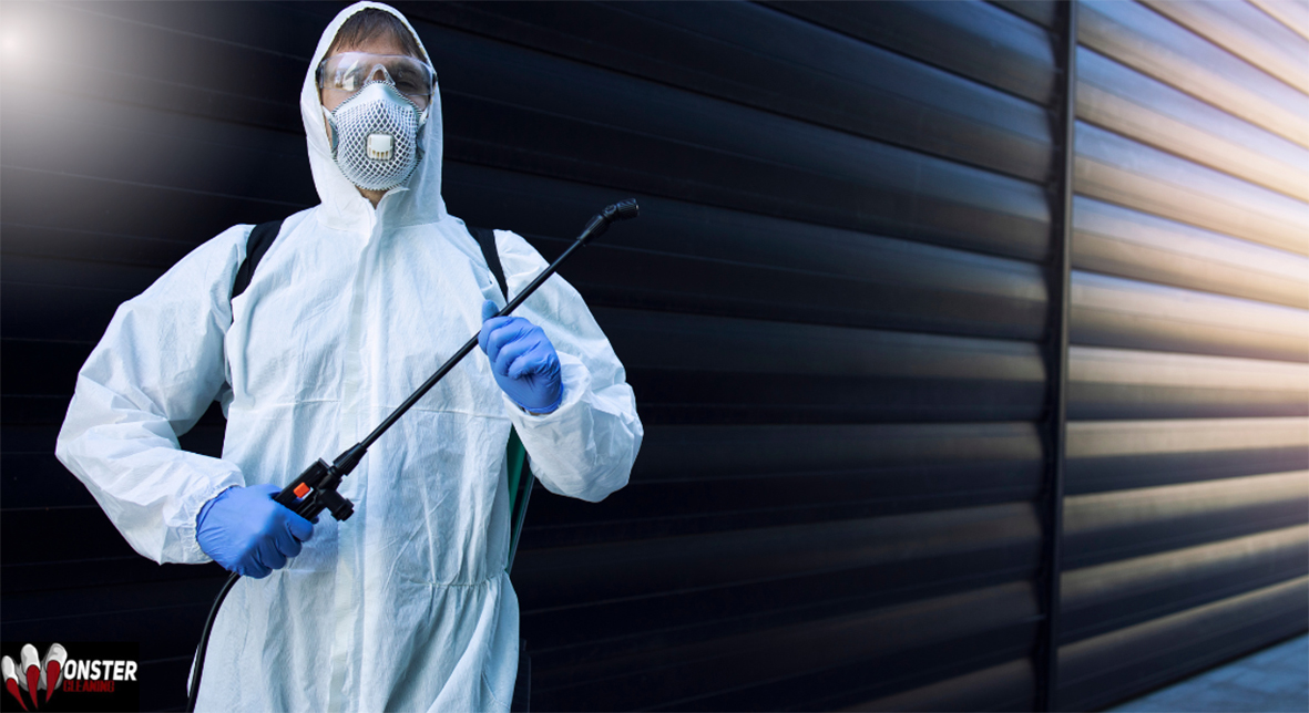 Home pest control services and german cockroach pest control Western Sydney licensed 5093545