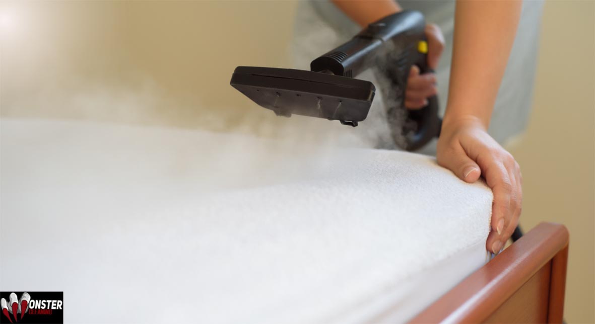 sofa and couch steam cleaning, lounge and carpet cleaning, upholstery cleaning inner west Sydney